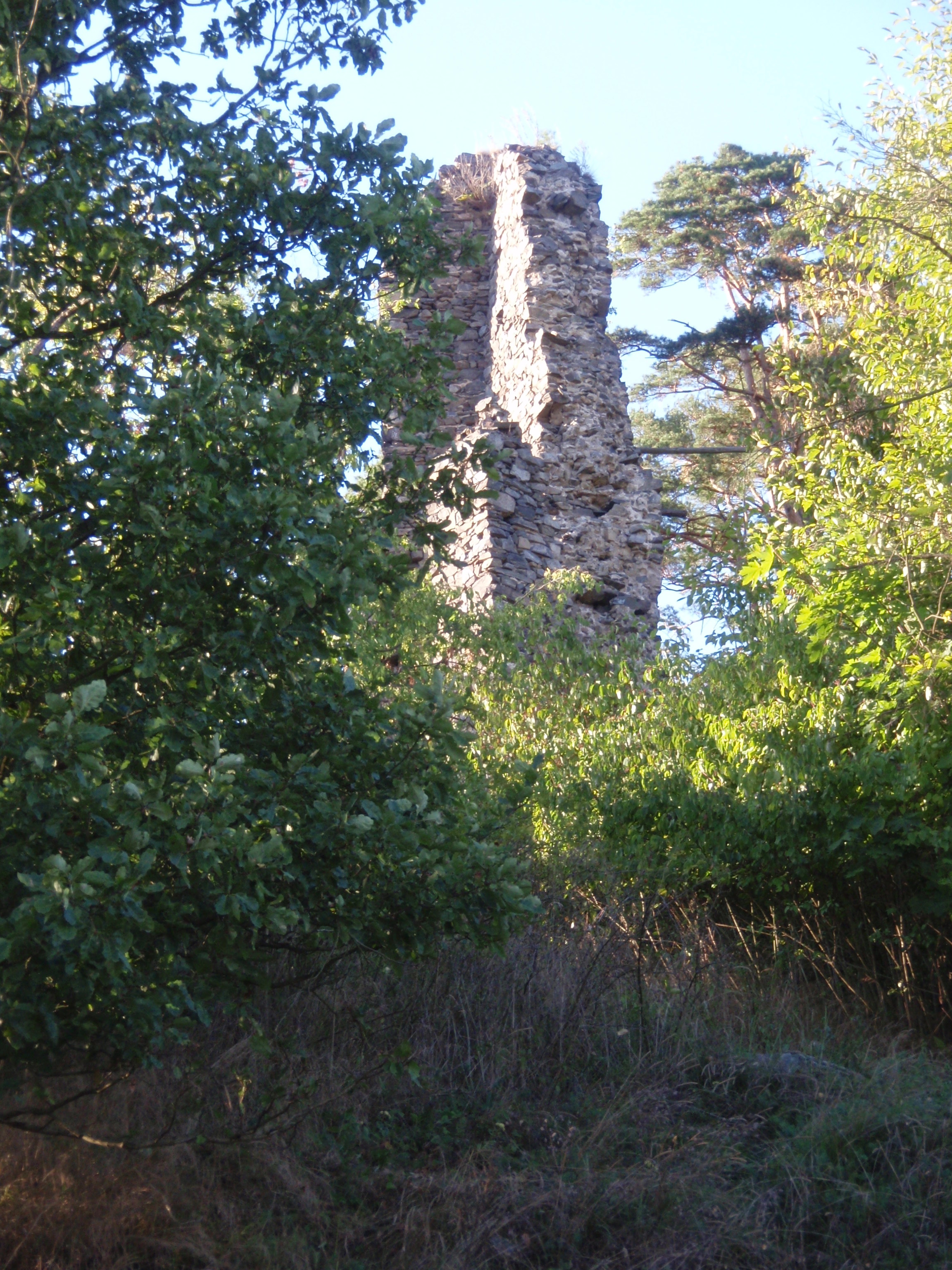 Zbořený Kostelec - zřícenina hradu 45