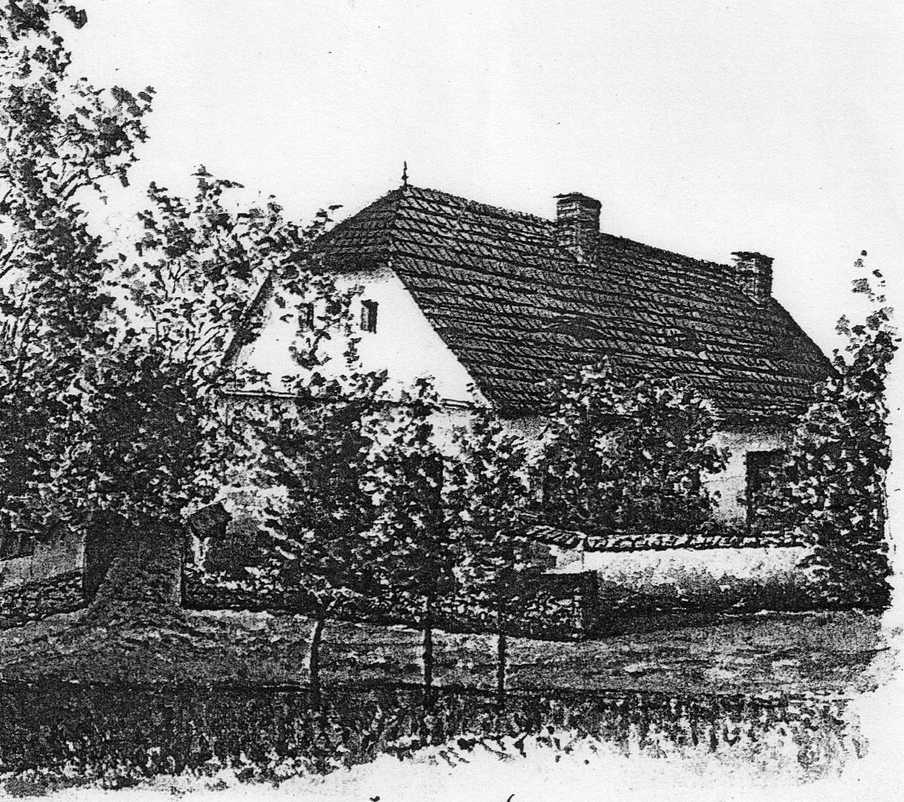 Usedlost č. p. 16_Václavice