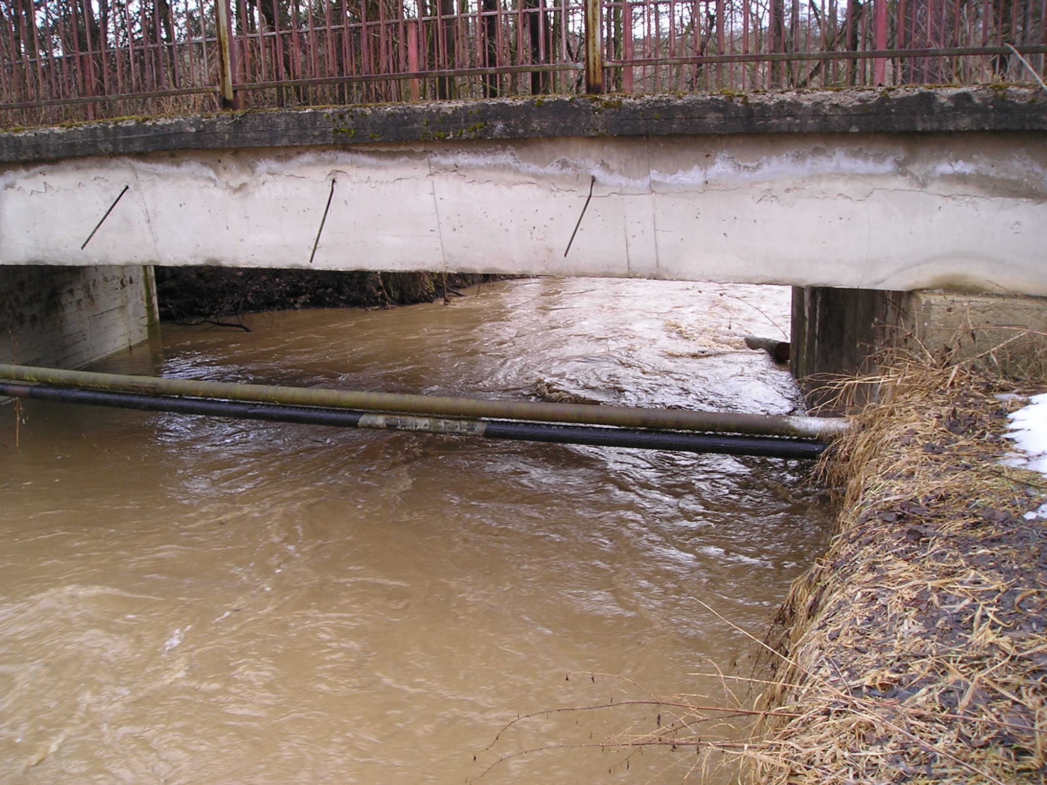 Janovický potok 2006 - 2