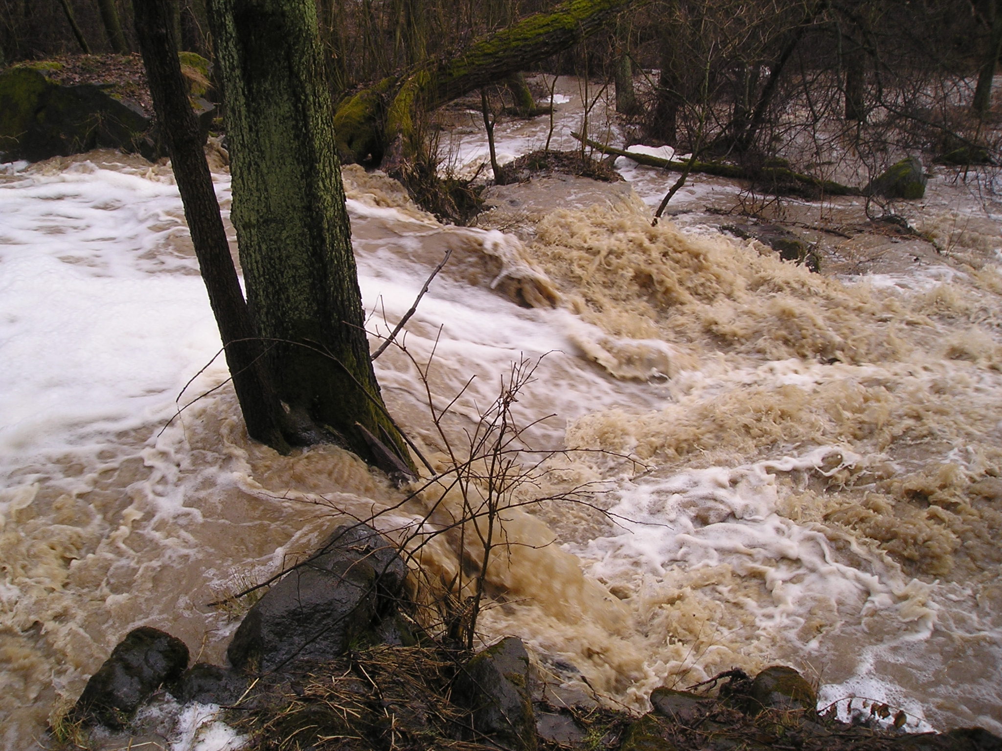 Janovický potok 2006 - 5