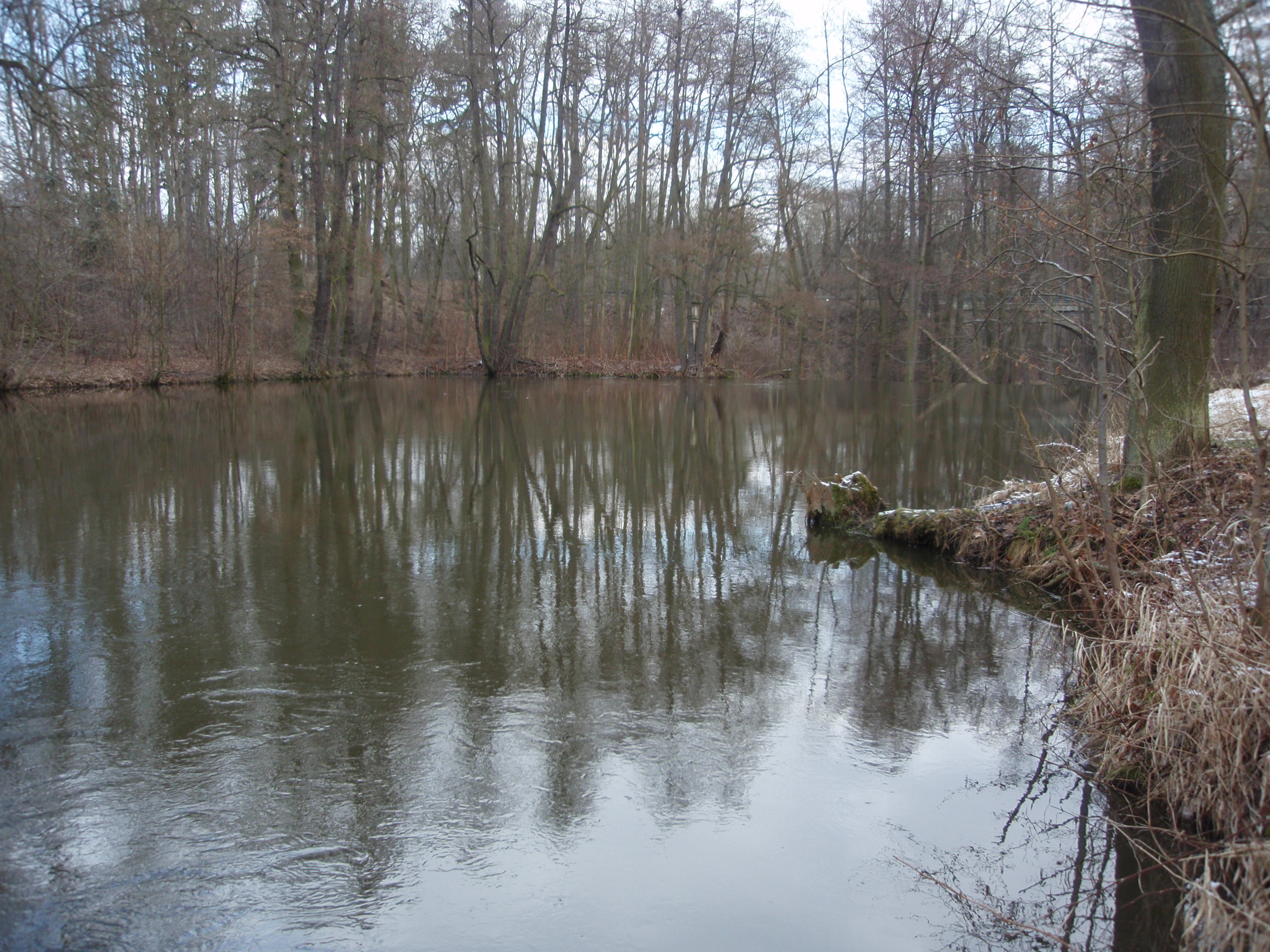 Konopiště - Racek - U zájezdku 2