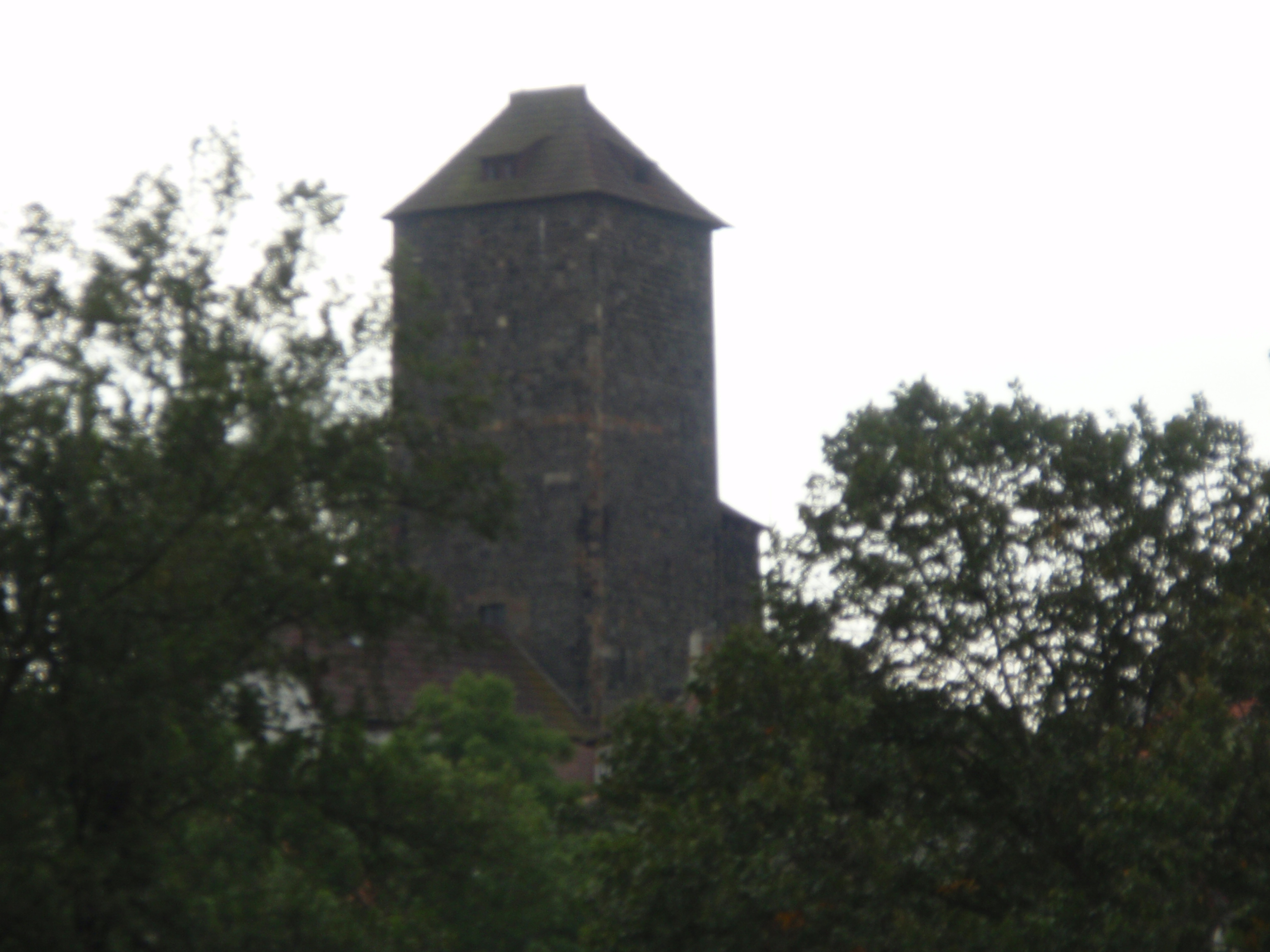 Týnec nad Sázavou - rotunda s hradem 19