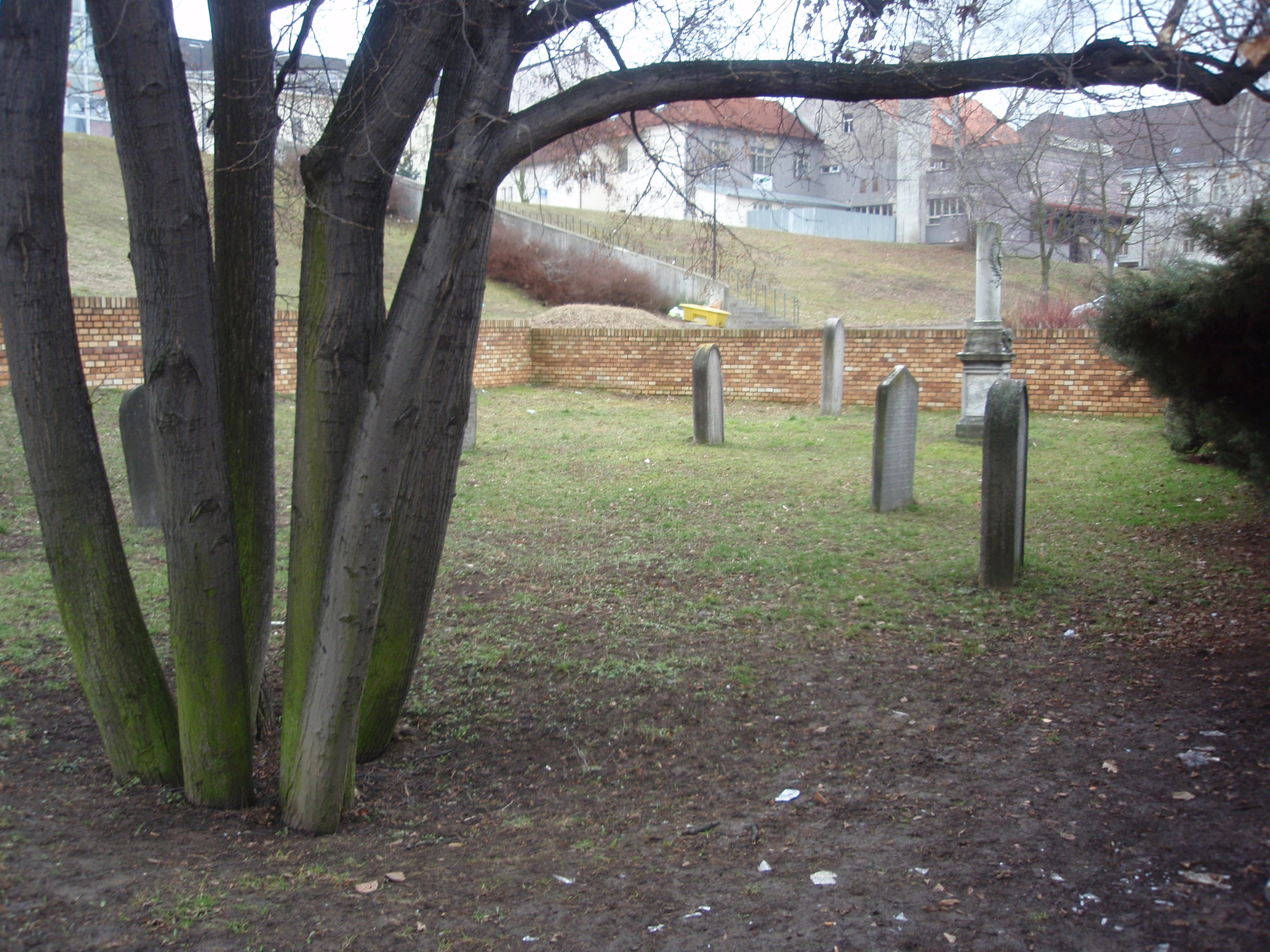 Benešov - starý židovský hřbitov 1