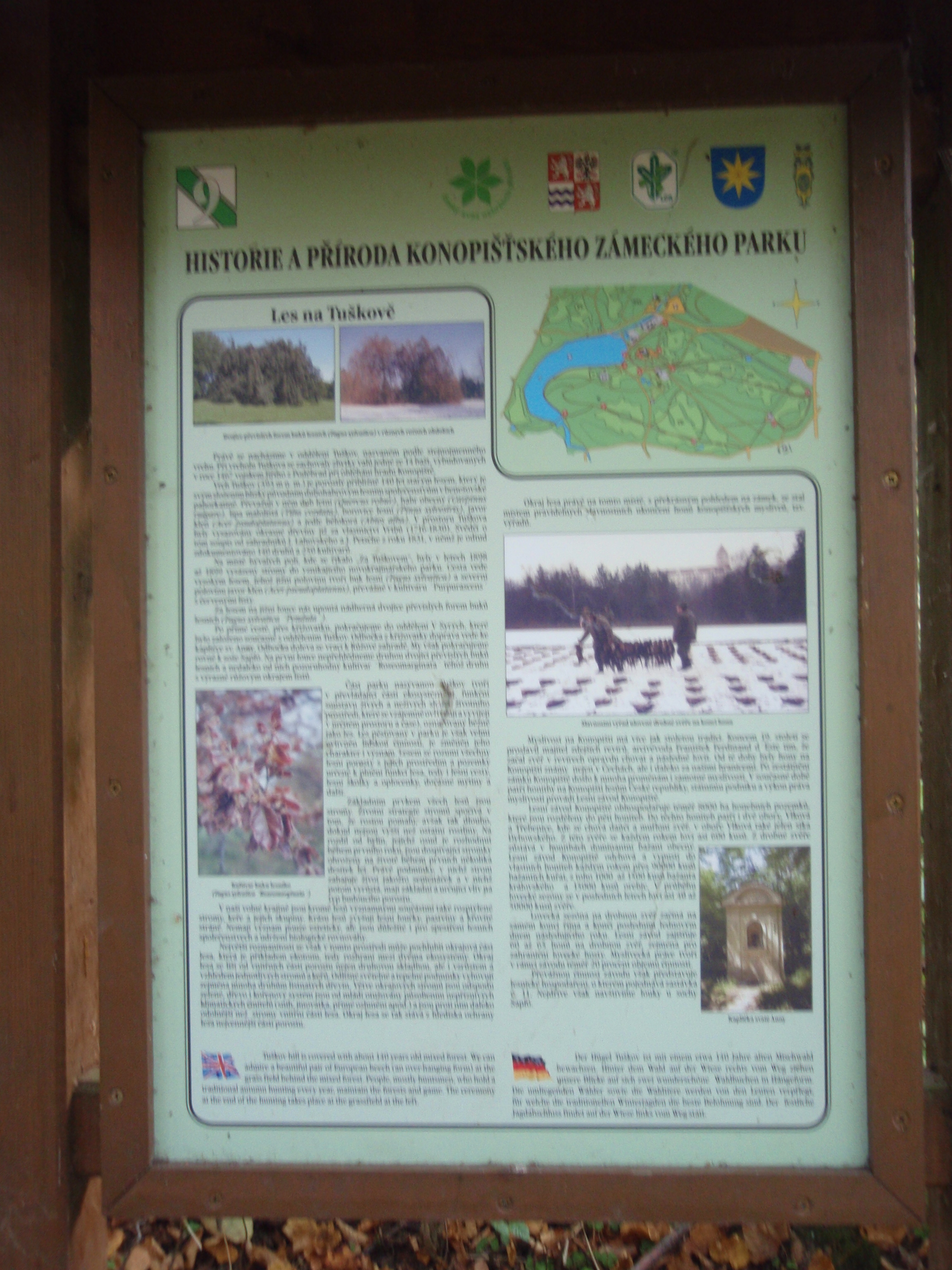 Les na Tuškově 1