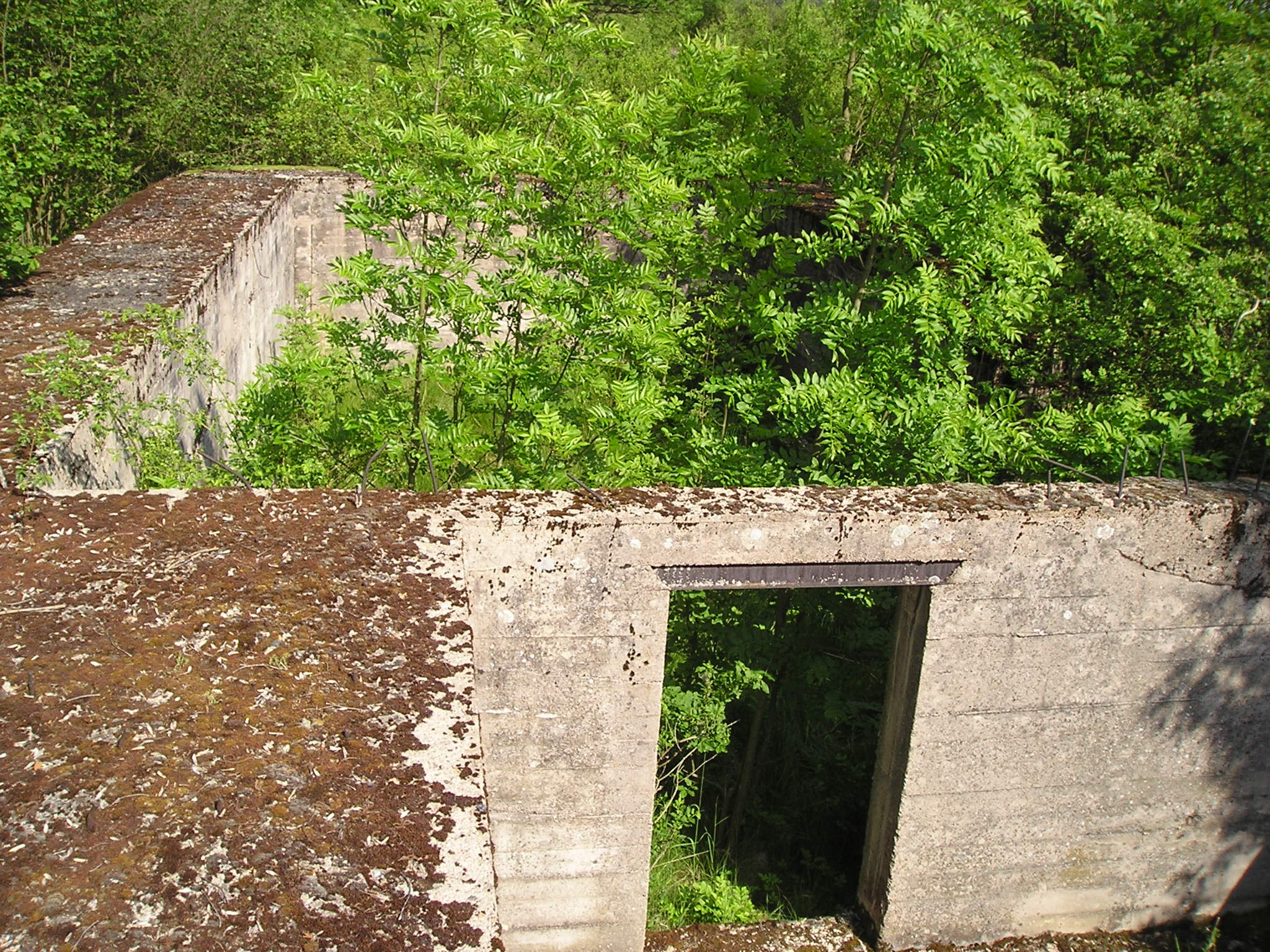 P5200063.JPG