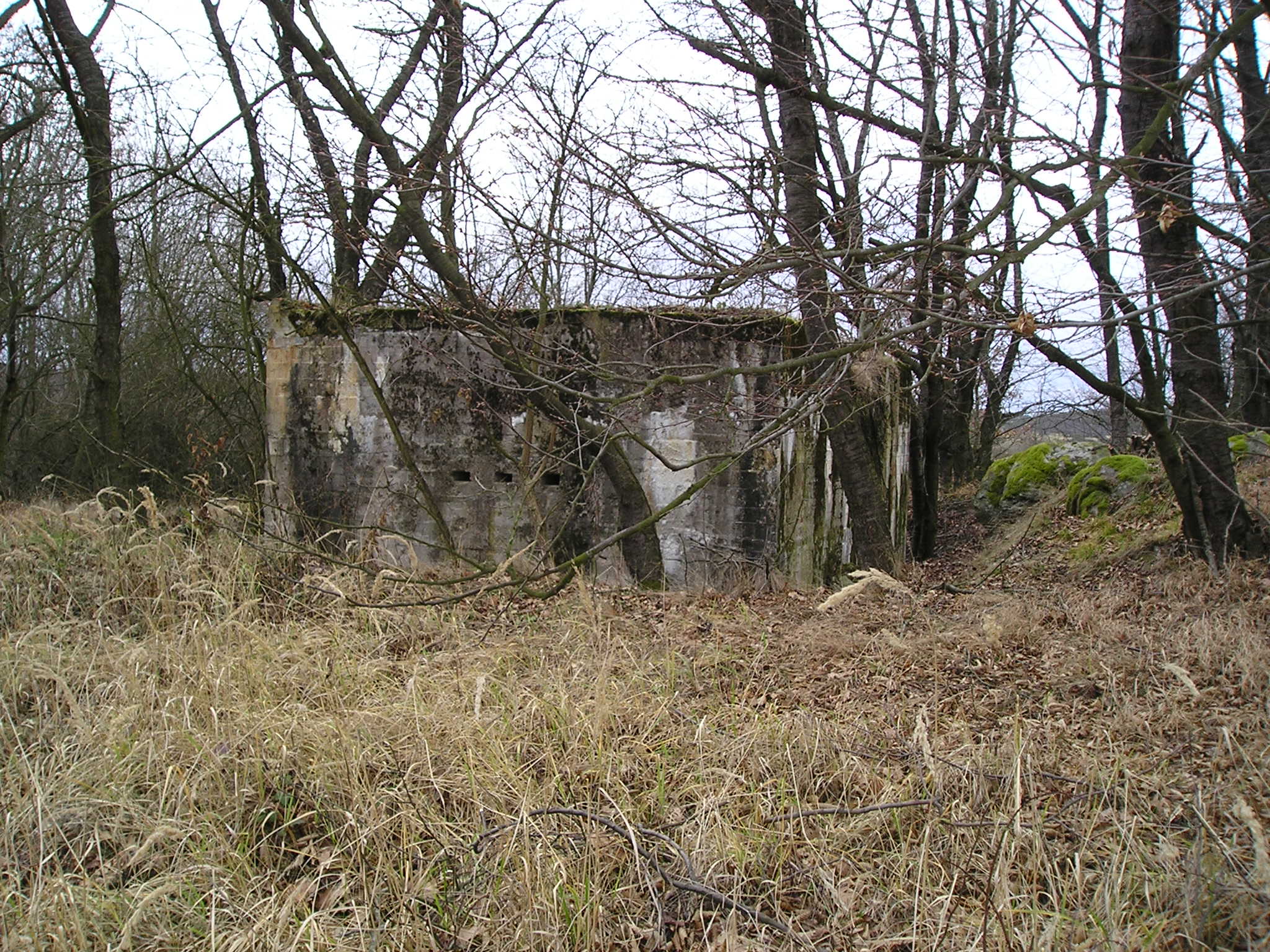 P1010061.JPG