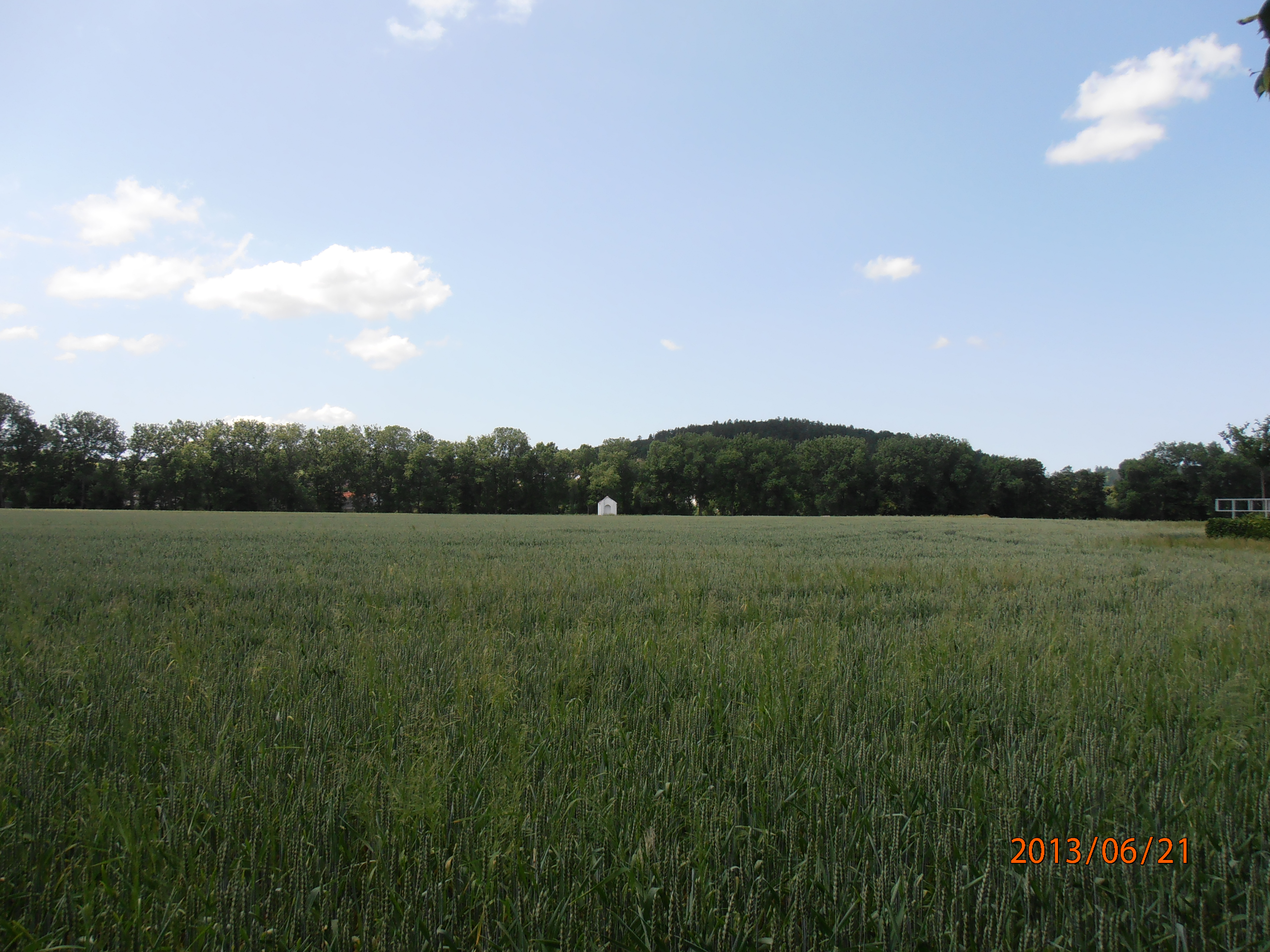 Poříčí nad Sázavou, kaplička v poli 1