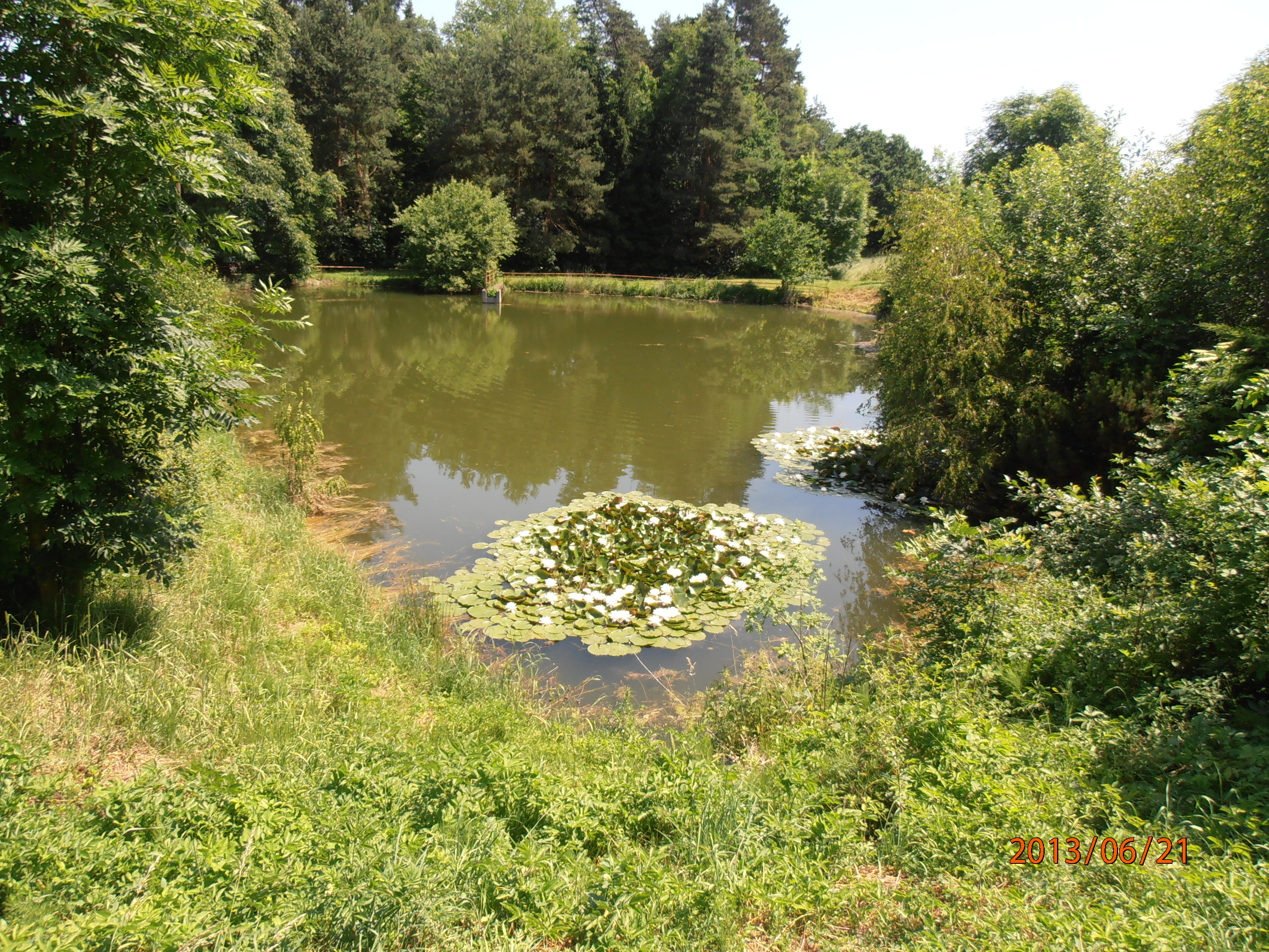 Rybník Chářovice 3